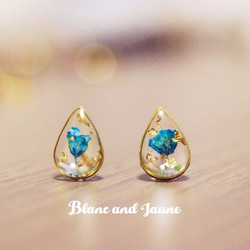 藍色小乾花金箔水滴耳釘 ,Tiny blue flowers gold plated stud earrings 第1張的照片