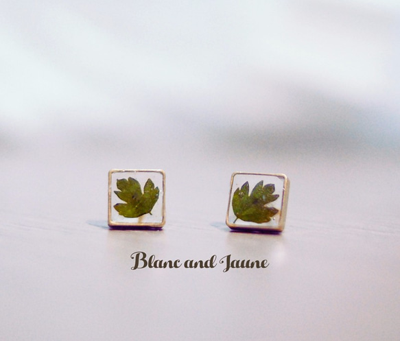 深綠色迷你楓葉形耳釘, Deep green leaf, Small square stud earrings 第1張的照片