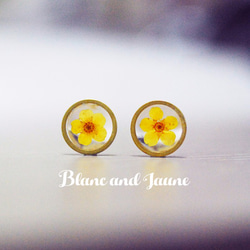 小小太陽, 黃色小花耳釘, Sunshine, Circle earrings, Eco stud earrings 第1張的照片