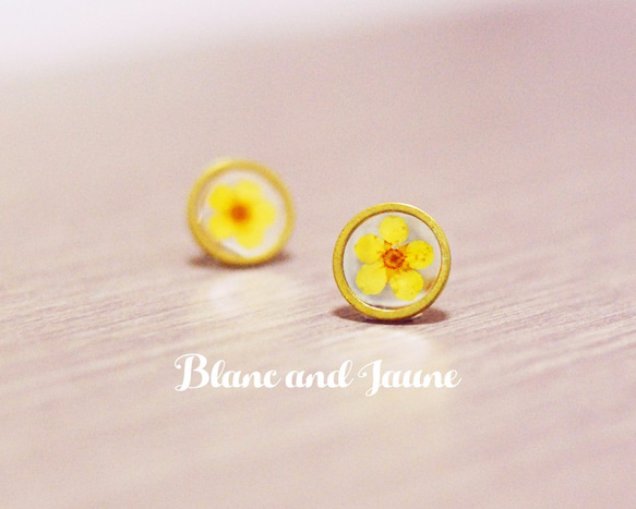 小小太陽, 黃色小花耳釘, Sunshine, Circle earrings, Eco stud earrings 第2張的照片