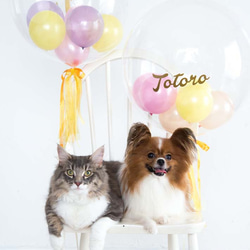 愛犬、愛猫のお誕生日に。お名前&年齢入り　ピンクのお城バルーンセット 4枚目の画像