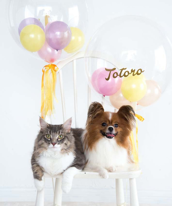 愛犬、愛猫のお誕生日に。お名前&年齢入り　ピンクのお城バルーンセット 4枚目の画像