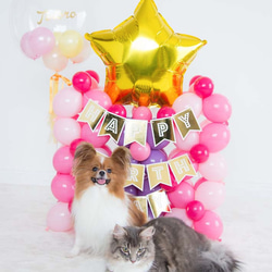 愛犬、愛猫のお誕生日に。お名前&年齢入り　ピンクのお城バルーンセット 5枚目の画像