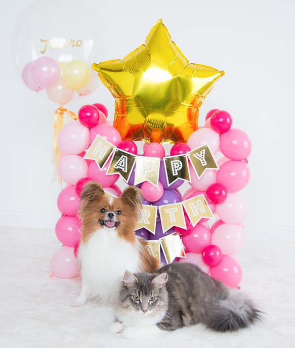 愛犬、愛猫のお誕生日に。お名前&年齢入り　ピンクのお城バルーンセット 5枚目の画像