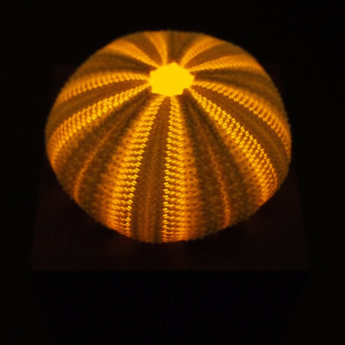 本物のウニ ウニランプ ラージ スタンドライト・テーブルランプ