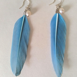 夏によく似合う、パールと羽のピアス　<ブルー＆ゴールド色>　ｰFether,pearl,hook earrings- 3枚目の画像