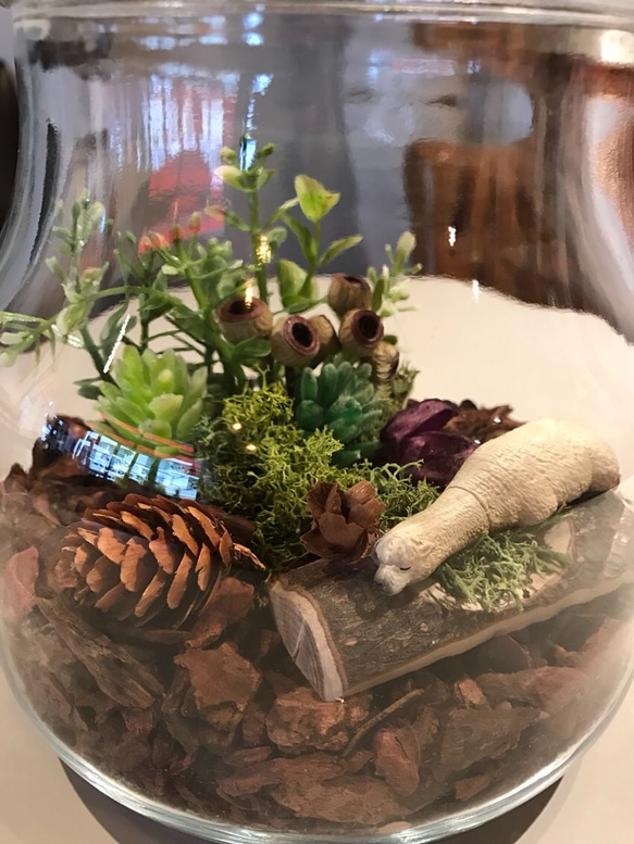 terrarium すやすやアルパカ 2枚目の画像