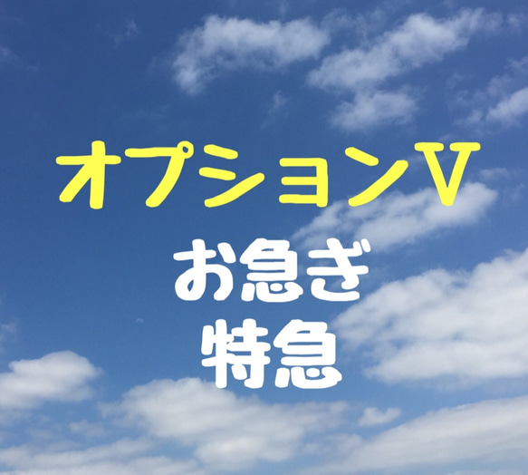 似顔絵オプションⅤ【お急ぎ特急仕上げ】 1枚目の画像