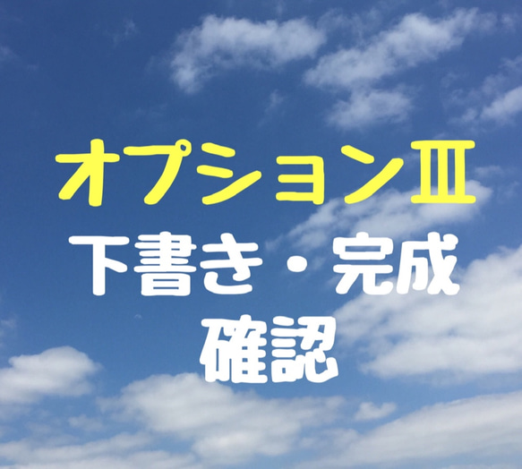 似顔絵オプションⅢ【似顔絵専用　下書き、完成確認】 1枚目の画像