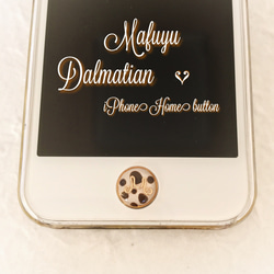 ダルメシアン iPhoneホームボタン 5枚目の画像