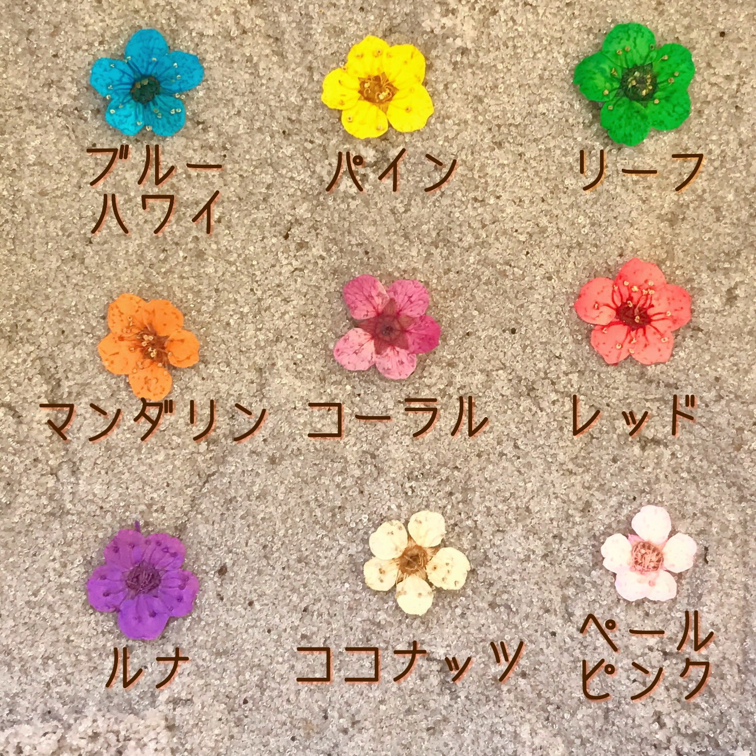 サンライズ ♦︎Private Beach♦︎ スマホケース　iPhone17　Android 全機種対応　Xperia