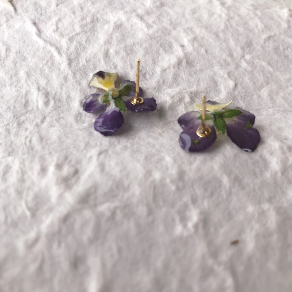 紫♦︎plainly viola pierce 4枚目の画像