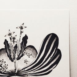 ダフネHCシェンカスタムレトロな花や葉は、独立のためのユニークな手描きのイラスト受注を作成します 4枚目の画像