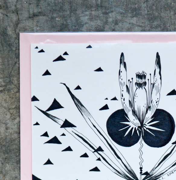 Daphne H.C. Shen 英國倫敦 客製化 黑白 想像 花草 可愛手繪花草作品 壓克力原創作品 第4張的照片