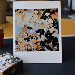 Daphne H.C. Shen 英國倫敦 3入藝術明信片-甜蜜的信 Sweet Letter 花卉 植物 銀杏 葉子 第1張的照片