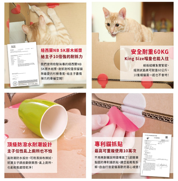 BoxKitty 百變貓屋 蘇格蘭愛丁堡 第5張的照片