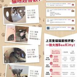 BoxKitty 百變貓屋 蘇格蘭愛丁堡 第6張的照片