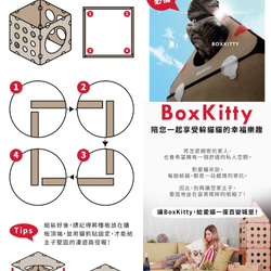 BoxKitty 百變貓屋 蘇格蘭愛丁堡 第7張的照片