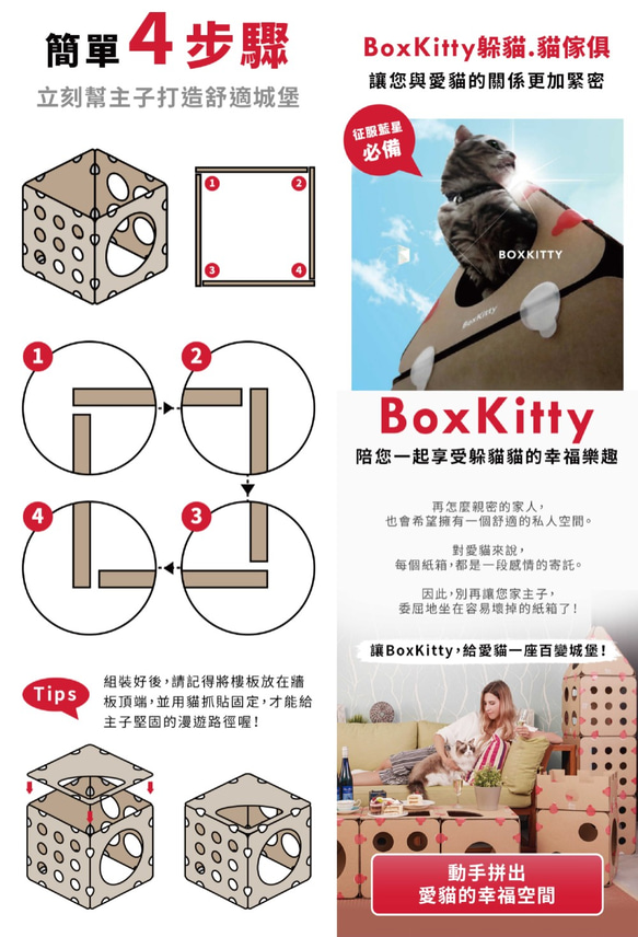 BoxKitty 百變貓屋 蘇格蘭愛丁堡 第7張的照片