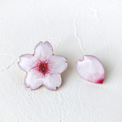 櫻花與花瓣胸針套裝 第4張的照片