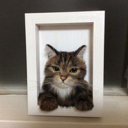 羊毛フェルト 壁掛け窓ねこ キジトラ 羊毛フェルト haluhalu 通販