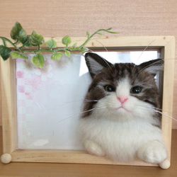 羊毛フェルト シャオレイちゃんリアルフレーム 羊毛フェルト シャオレイちゃんリアルフレーム