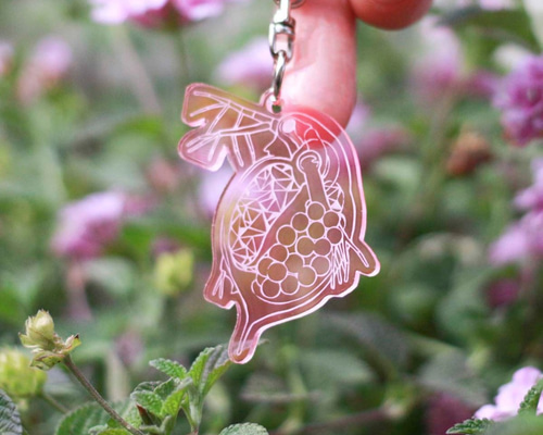 0_00e79444dc936fdcc79d0f9bb573