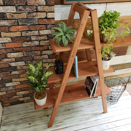 AXCIS　stead　ラダー　飾り棚　什器　脚立 風 ラック　家具 AXCIS Homestead ラダー 飾り棚 什器 脚立 風 ラック 家具