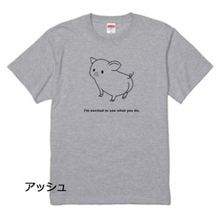 ４色から選べる♪ぶたTシャツA 4枚目の画像