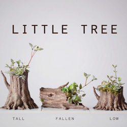 little tree(low)アーティフィシャルフラワー 4枚目の画像