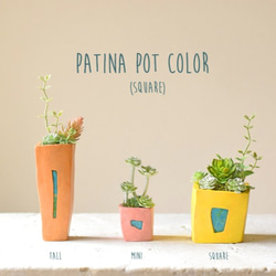 patina pot color(square) 1枚目の画像