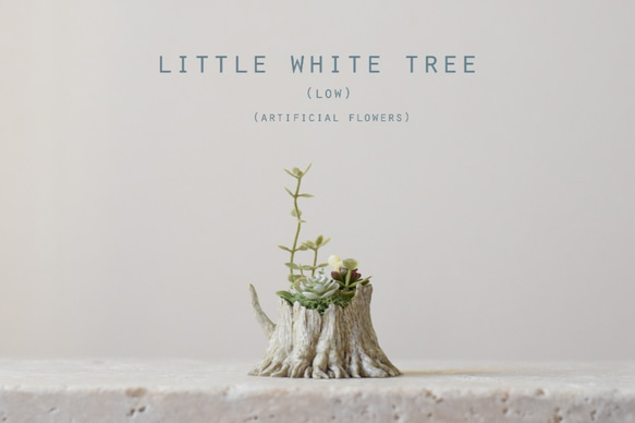 Little white tree (low) 1枚目の画像