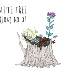 Little white tree (low) 5枚目の画像