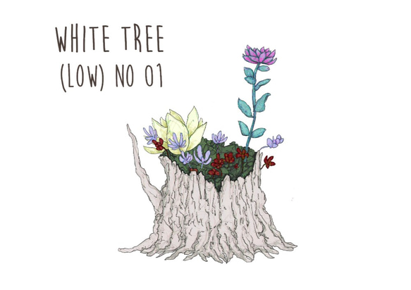 Little white tree (low) 5枚目の画像