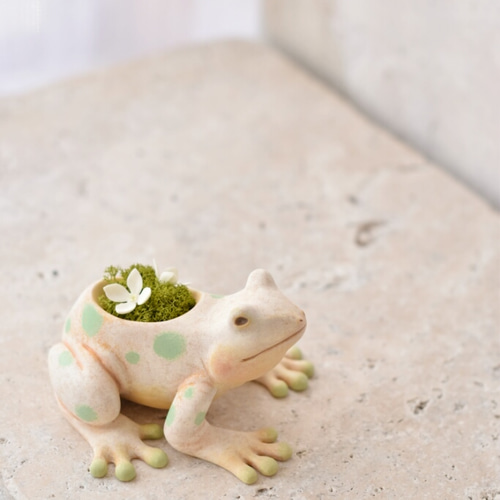 カエルさん（水玉）White 立体・オブジェ Echidna Aya 通販 5539757