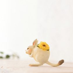 トビウサギさん ～White & Yellow〜 1枚目の画像