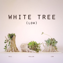 white tree(low) 1枚目の画像