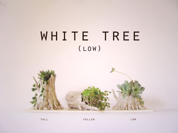 white tree(low) 1枚目の画像