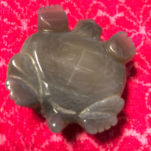 ジオード亀 ジオード亀