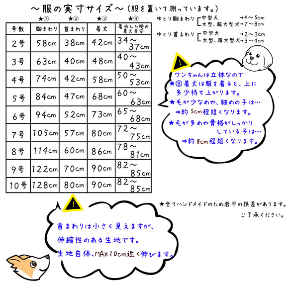  第5張的照片