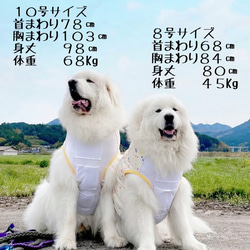 保冷剤ポケット付きタンクトップ〜大型犬、超大型犬用スプラッシュ柄 8枚目の画像