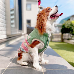 ☆着せやすさ抜群☆〜ほっこりふんわりあったかベスト〜　犬服　小型犬服　小型犬　冬服　 9枚目の画像