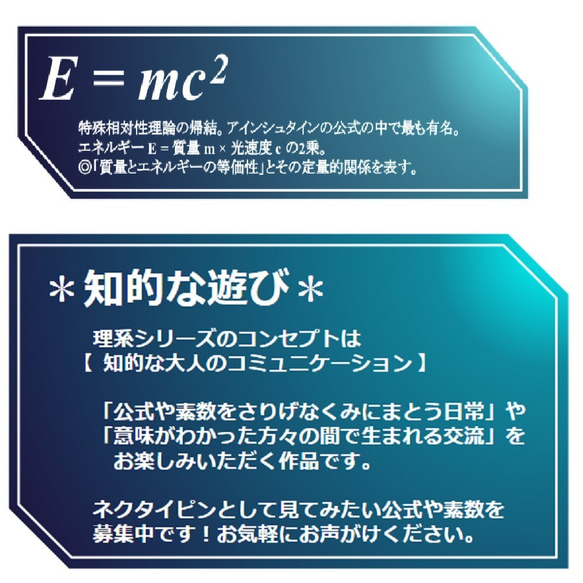 特殊相対性理論の帰結【理系・物理学アクセサリー】 6枚目の画像