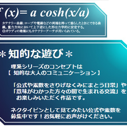 カテナリー曲線ネクタイピン【理系・数学アクセサリー】 6枚目の画像