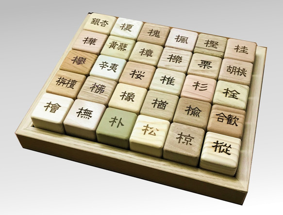 漢字CUBE積み木(30種セット) 1枚目の画像