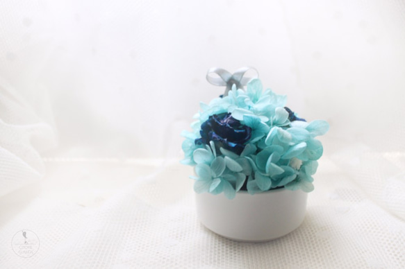Cookie islands 聖誕精靈迷你桌花・藍玫瑰、木繡球經典乾燥花禮 第1張的照片