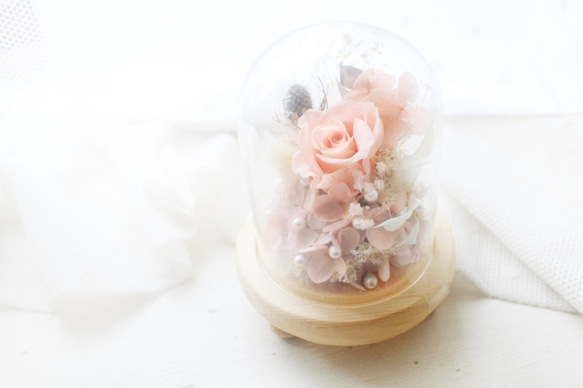 寧靜粉紅日光・珊瑚粉永生玫瑰花玻璃盅 第2張的照片