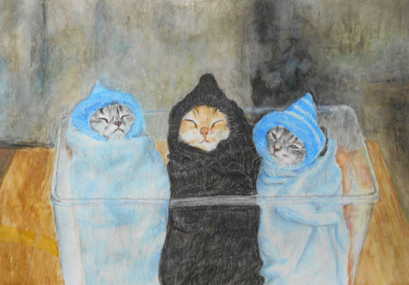 「子猫３兄弟」 1枚目の画像