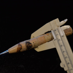 白樺の小枝から　シャープペンシル　ネイチャーペン 3枚目の画像