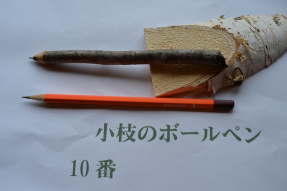 小枝のボールペン　No.10 ブナ 1枚目の画像